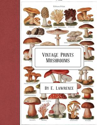 Vintage Prints: Mushrooms - Lawrence, E