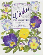 Violas and Violettas