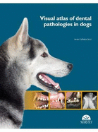 Visual Atlas of Dental Pathologies in Dogs