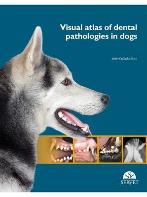 Visual Atlas of Dental Pathologies in Dogs - Soto, Javier Collados