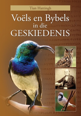 VOLS EN BYBELS IN DIE GESKIEDENIS (Volkleur Uitgawe) - Hattingh, Tian