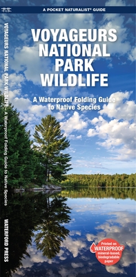 Voyageurs National Park Wildlife: A Waterproof Folding Pocket Guide to Native Species - Kavanagh, Jill