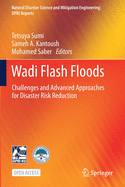 Wadi Flash Floods: Challenges and Advanced Approaches for Disaster Risk Reduction