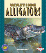 Waiting Alligators