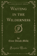 Waiting in the Wilderness (Classic Reprint)