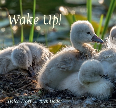 Wake Up! - Frost, Helen