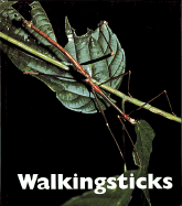 Walkingsticks