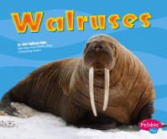 Walruses