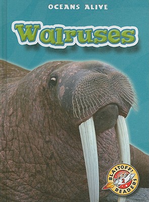 Walruses - Sexton, Colleen