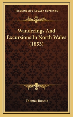 Wanderings and Excursions in North Wales (1853) - Roscoe, Thomas