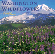 Washington Wildflowers - Gurche, Charles