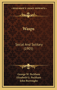 Wasps: Social and Solitary (1905)