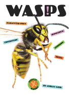 Wasps