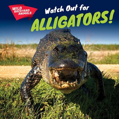 Watch Out for Alligators! - Avett, Harper