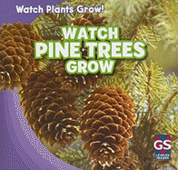 Watch Pine Trees Grow