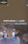 Watching Wildlife Galapagos Islands