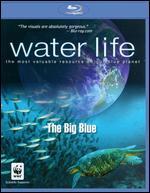 Water Life: The Big Blue