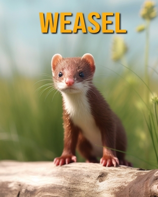 Weasel: Fun Facts Book for Kids - Oberski, Nicole