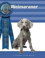 Weimaraner