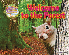 Welcome to the Forest