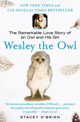 Wesley the Owl: The Remarkable Love Story of an Owl and His Girl - O'Brien, Stacey