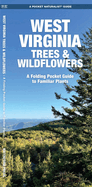 West Virginia Trees & Wildflowers: An Introduction to Familiar Species