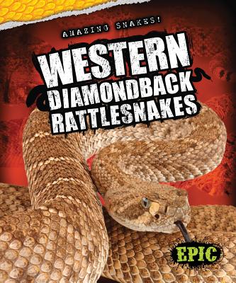 Western Diamondback Rattlesnakes - Bowman, Chris