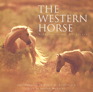 Western Horse: A Photographic Anthology