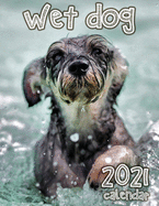 Wet Dog 2021 Calendar