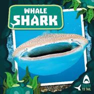 Whale Shark: Teeth to Tail
