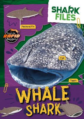 Whale Shark - Twiddy, Robin, and Andrews, E.C. (Adapted by), and Li, Amy (Designer)