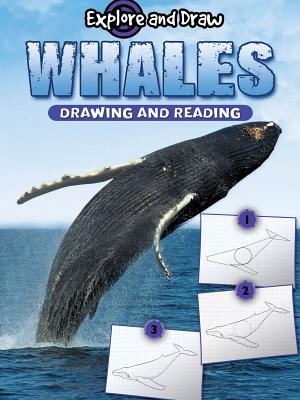 Whales, Drawing and Reading - Thompson, Gare