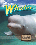 Whales