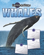 Whales