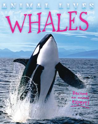 Whales - Morgan, Sally
