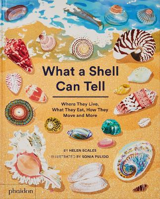 What A Shell Can Tell - Scales, Helen, and Pulido, Sonia (Artist)