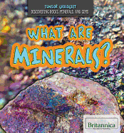 What Are Minerals?