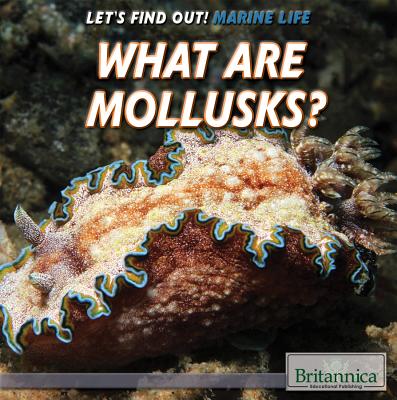 What Are Mollusks? - Machajewski, Sarah