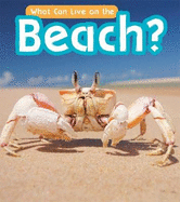 What Can Live at the Beach?