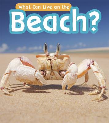 What Can Live at the Beach? - Wilkins, John-Paul