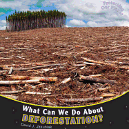 What Can We Do about Deforestation?