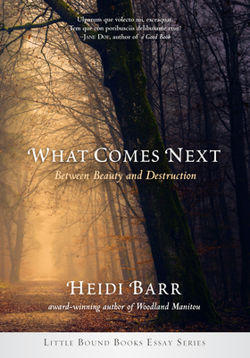 What Comes Next - Barr, Heidi