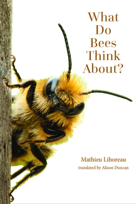What Do Bees Think About? - Lihoreau, Mathieu, and Duncan, Alison (Translated by)