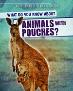 What Do You Know about Animals with Pouches?