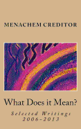 What Does It Mean?: Selected Writings 2006-2013