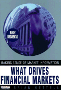 What Drives Financial Markets: Making Sense of Market Information