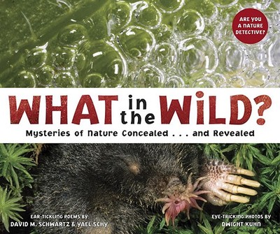 What in the Wild?: Mysteries of Nature Concealed . . . and Revealed - Schwartz, David, Dr., and Schy, Yael, and Kuhn, Dwight (Photographer)