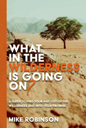 What In The Wilderness Is Going On?: A Guide To Find Your Way Out Of The Wilderness And Into Your Promise