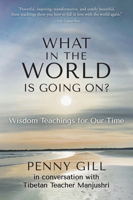 What in the World is Going On?: Wisdom Teachings for Our Time - Gill, Penny