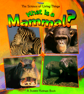 What Is a Mammal?